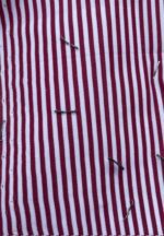 Giacca/camicia - immagine 10